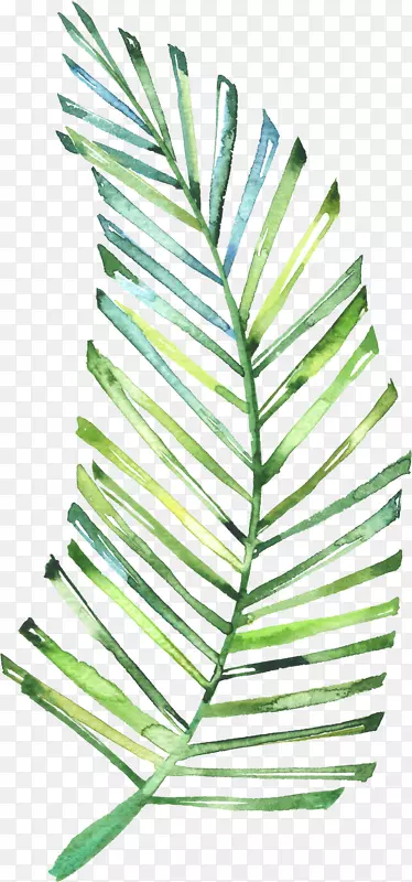 蓝绿色创意植物手绘树叶