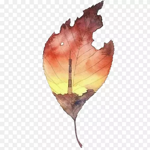树叶绘画装饰图素材图片
