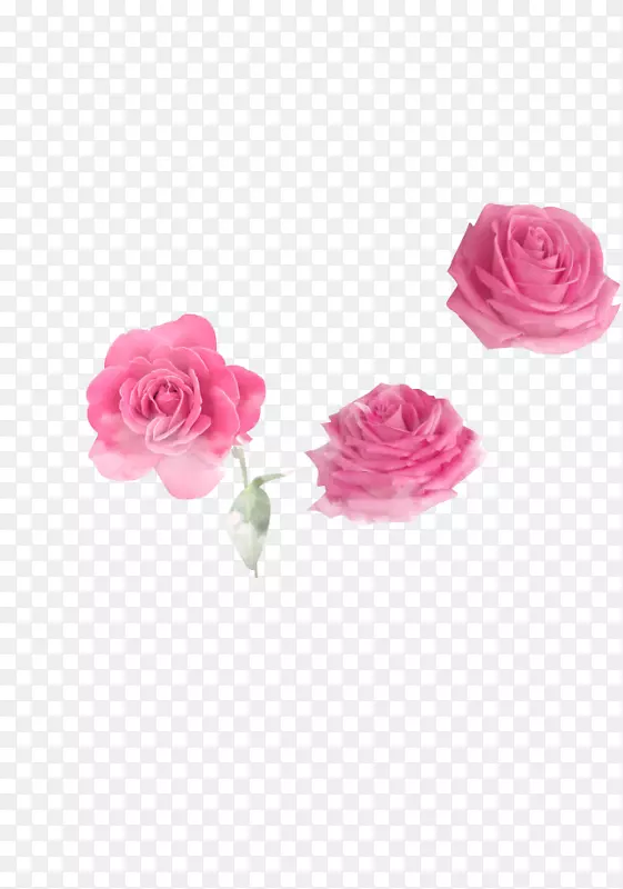创意手绘粉红色的月季花素材