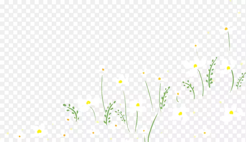 春天手绘黄白色小花
