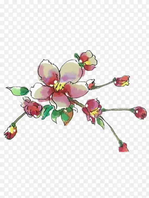 手绘海棠花素材