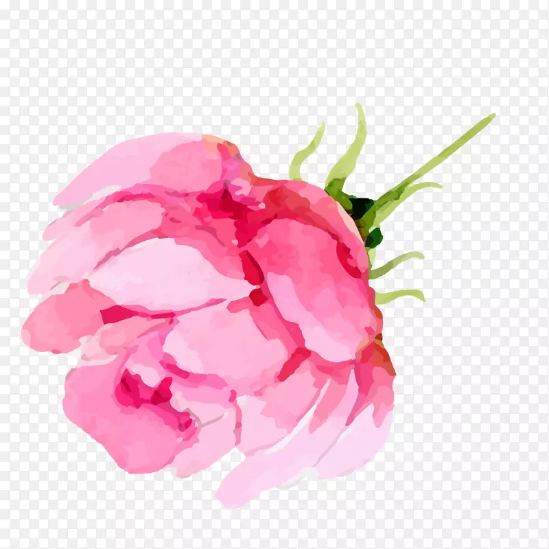 粉色水彩绘玫瑰花矢量图
