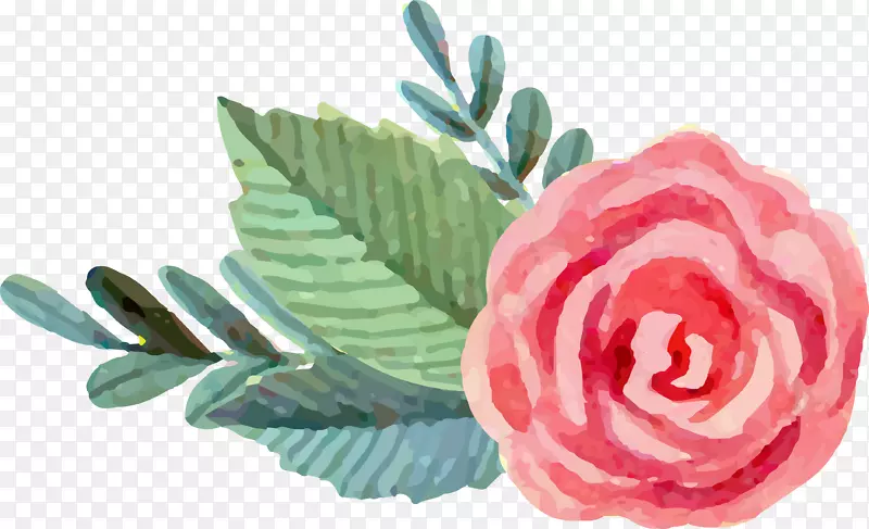 粉色水彩玫瑰花