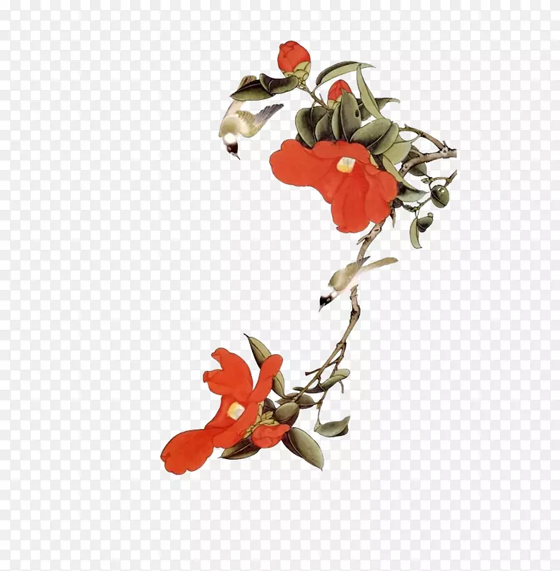 卡通海棠花