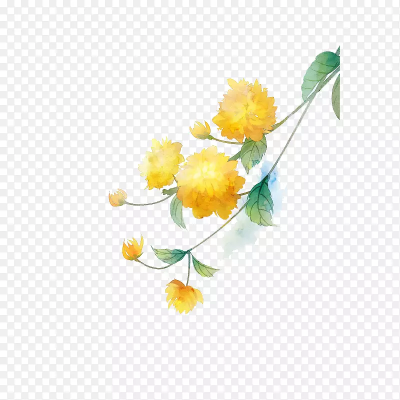 手绘中国风水彩花卉PNG免扣
