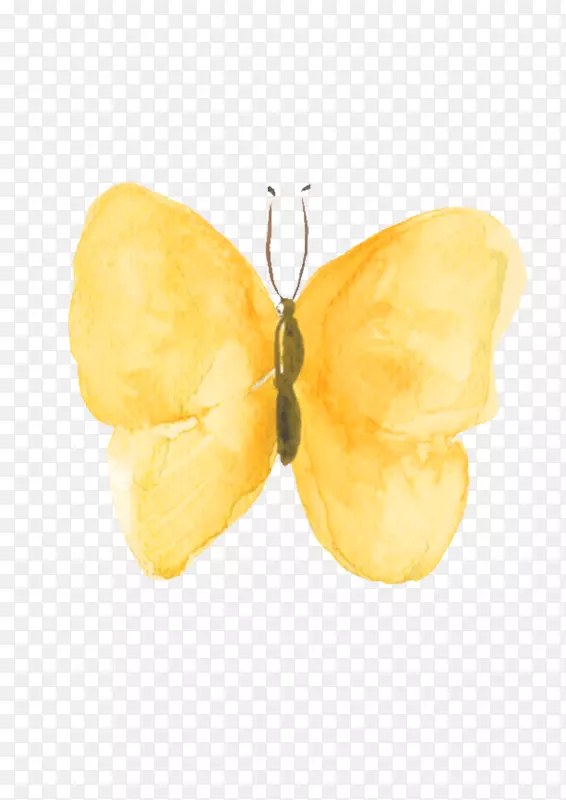 黄色水墨蝴蝶