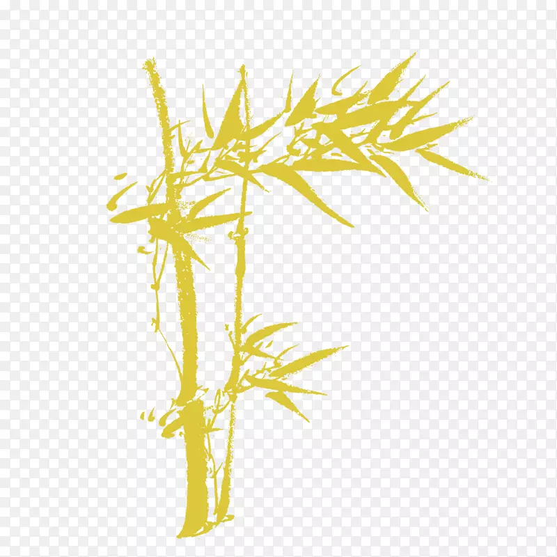 一枝笔直的金色竹子带几片竹叶卡