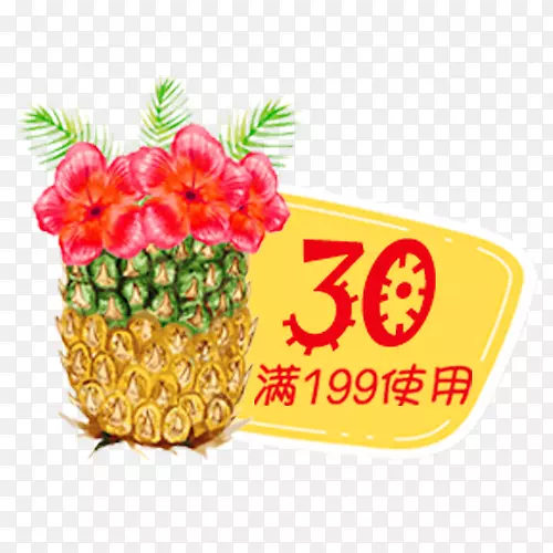 菠萝花朵满199减30优惠券图片