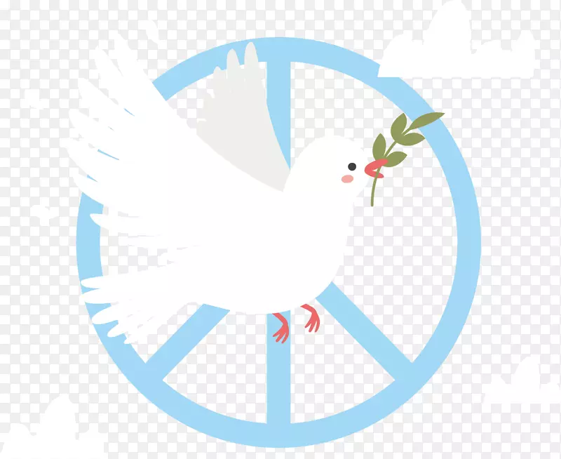 可爱和平日白色鸽子