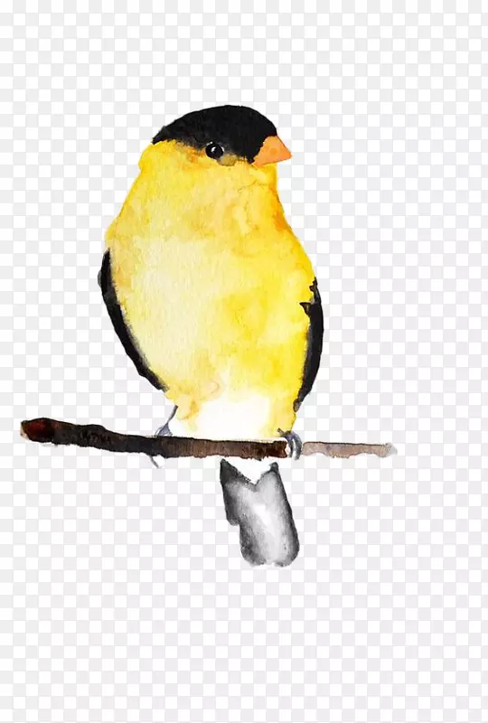 手绘水彩黄色小鸟