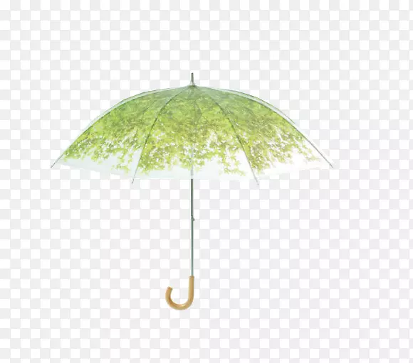 浅绿色雨伞