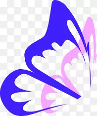 翩翩起舞的紫粉色蝴蝶翅膀