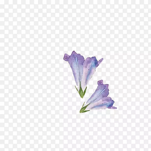 小清新简约水彩手绘紫色喇叭花
