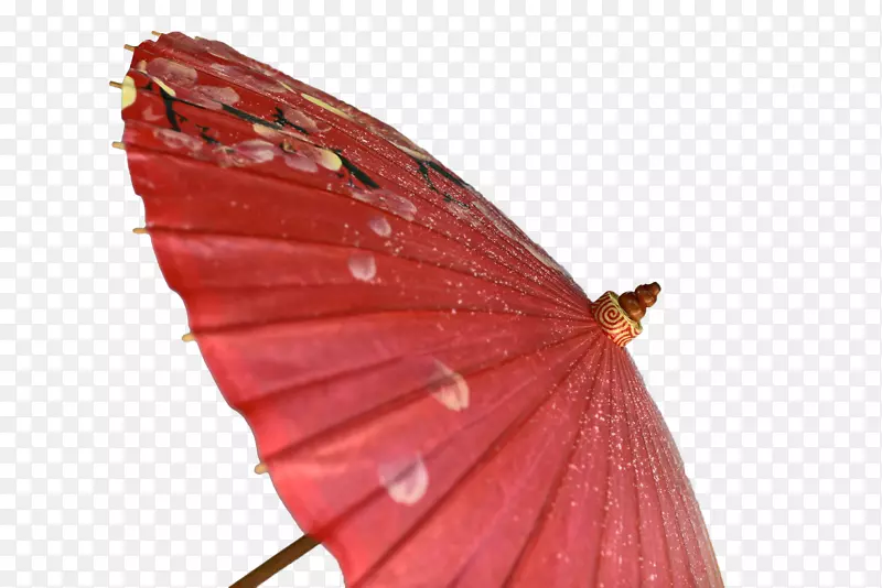 红色花卉油纸伞