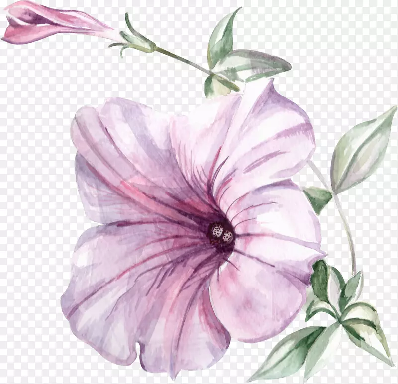 手绘紫色喇叭花花卉