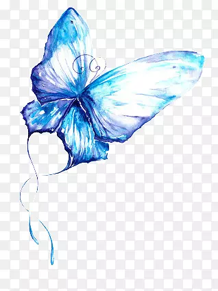 一只蓝色的蝴蝶