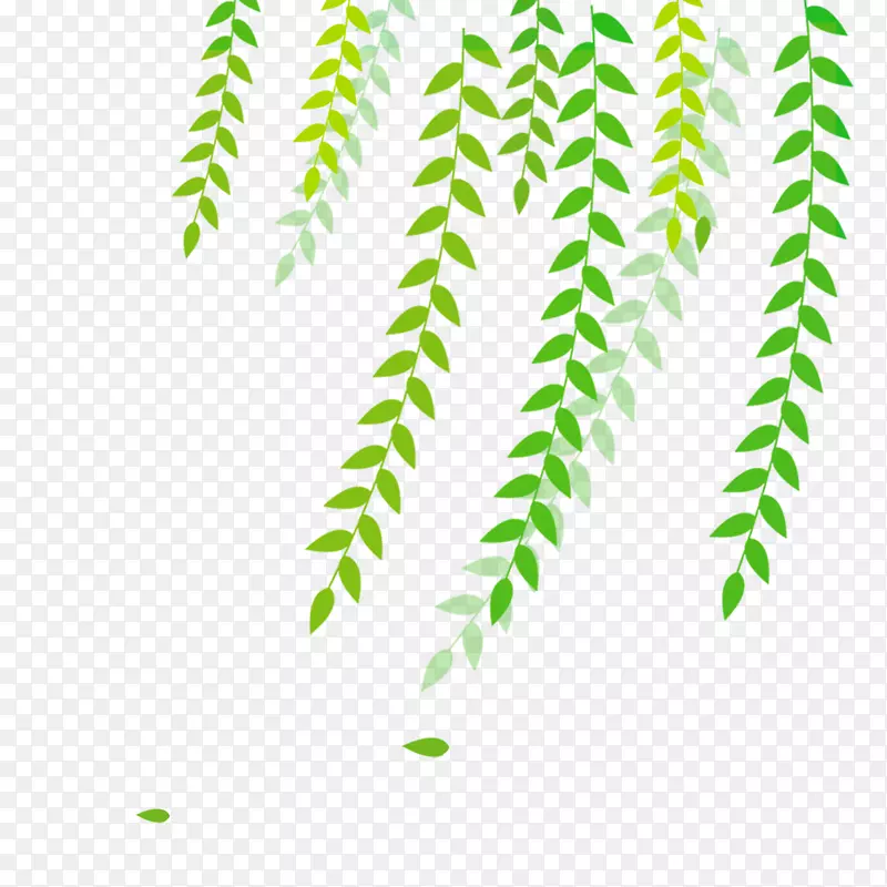 清明节水墨风柳叶柳枝