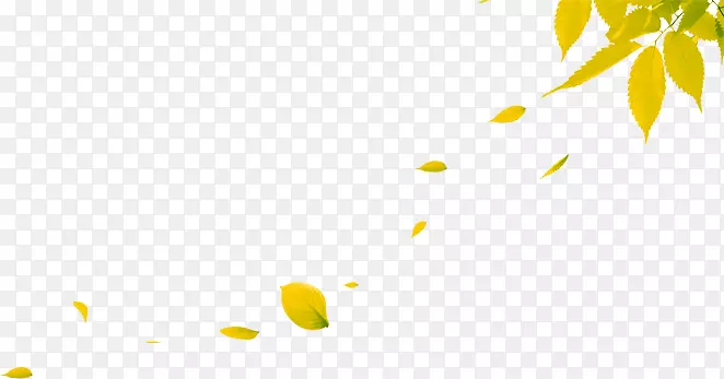 漂浮树叶