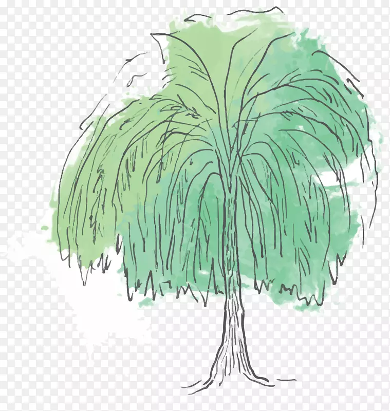 水彩手绘绿色柳树