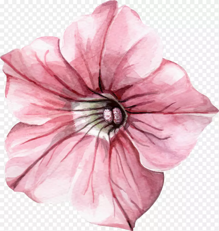手绘一朵粉色喇叭花