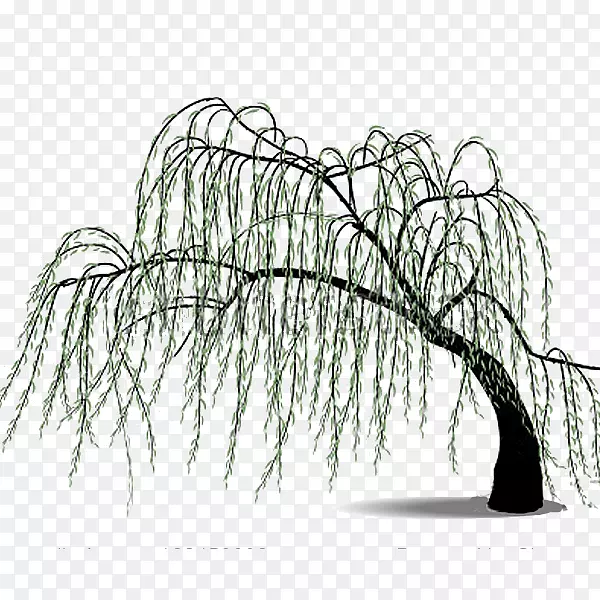清明节水墨风柳叶柳枝