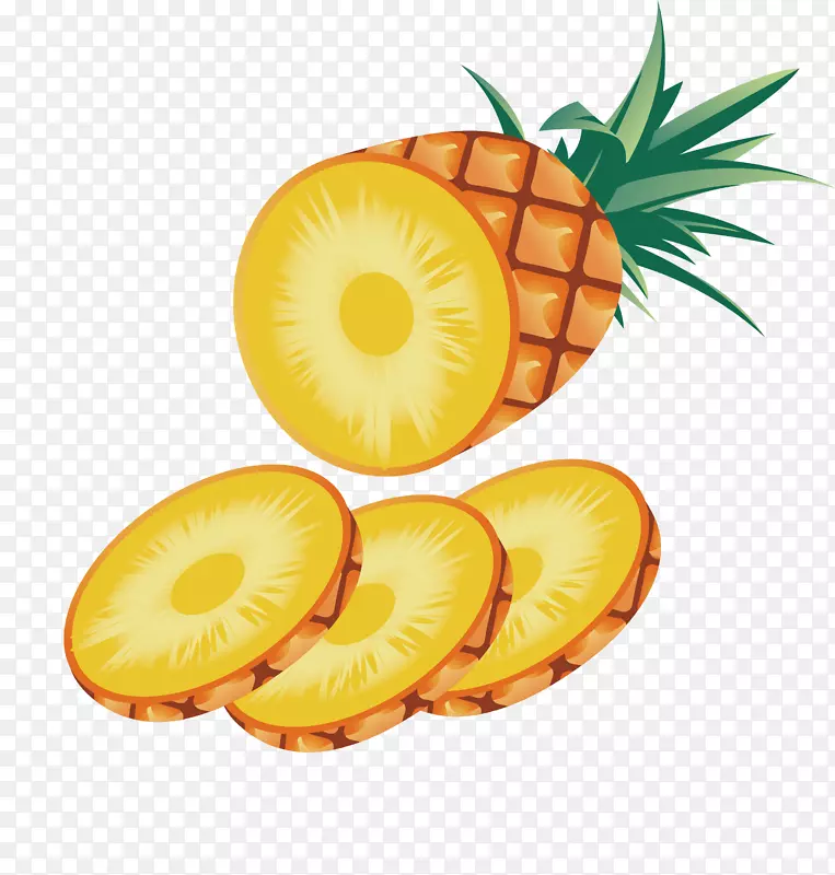 手绘切片的菠萝水果矢量图形