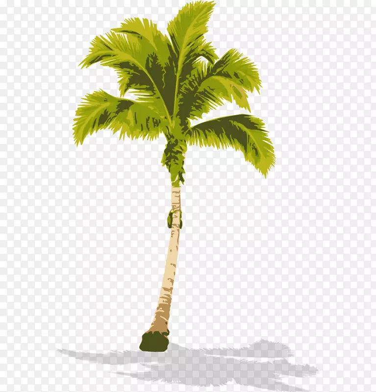 一棵椰子树
