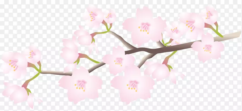 粉色春季美丽花枝
