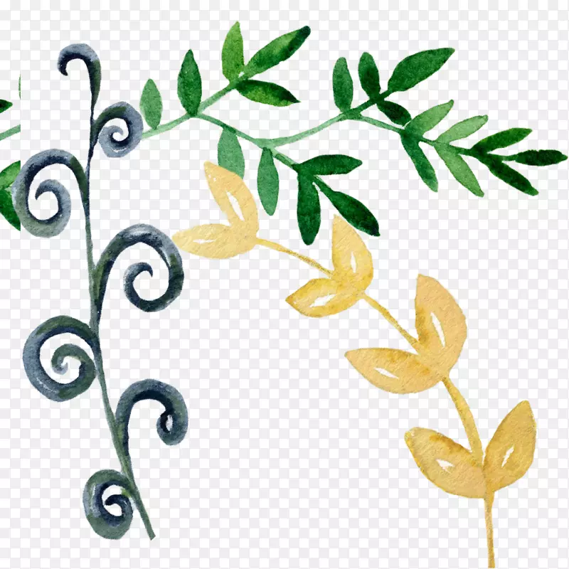 黄色绿色植物手绘水彩植物叶子图