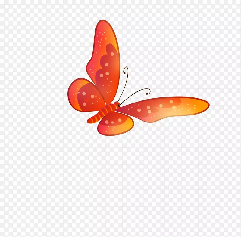 橙色蝴蝶图案