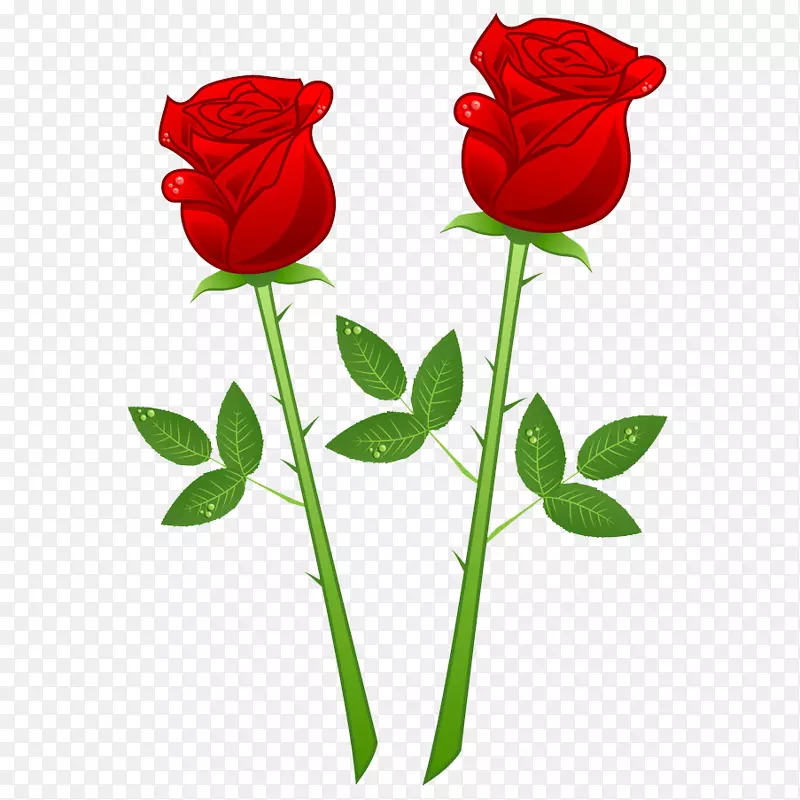 红玫瑰免费下载七夕情人节