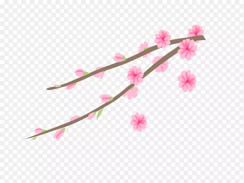 粉色春季美丽花枝