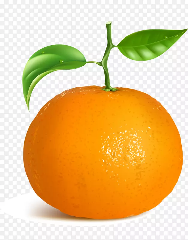 橙色简约水果