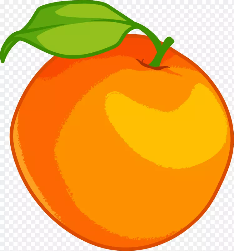 橙色手绘橘子
