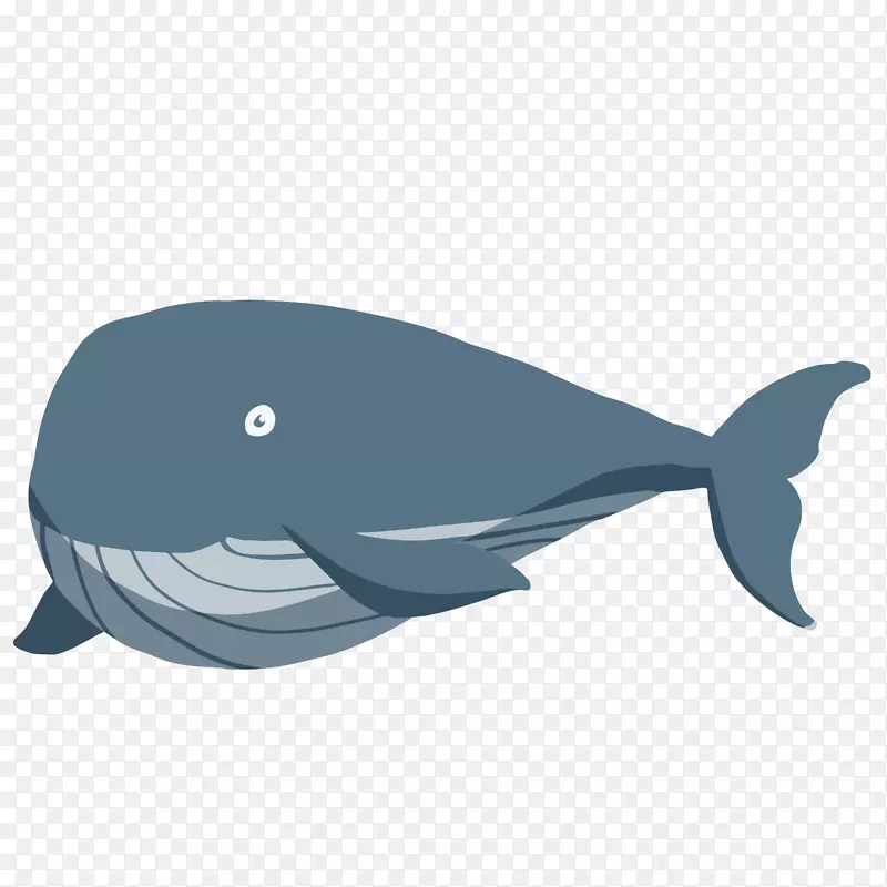卡通手绘大鲸鱼矢量图