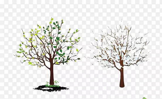 春天的小树与冬天的小树