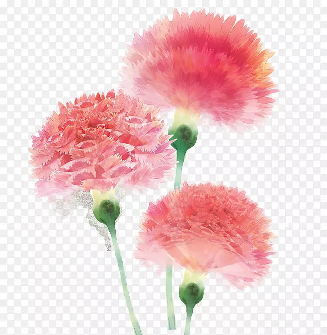 卡通手绘粉色的花朵