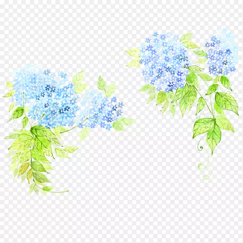 花朵