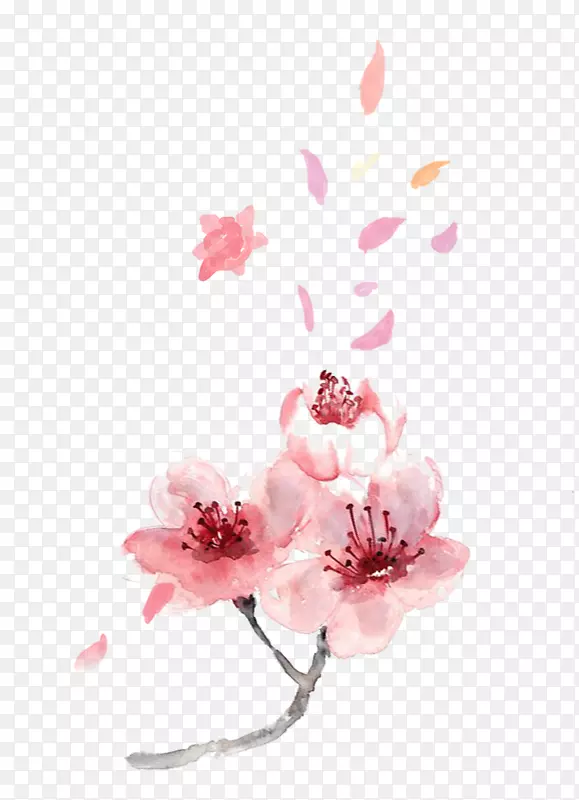 清新粉色散开的花瓣和花免抠图