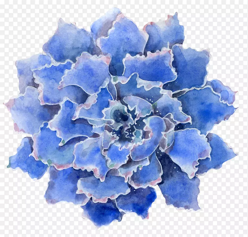 手绘蓝色的花朵免抠图