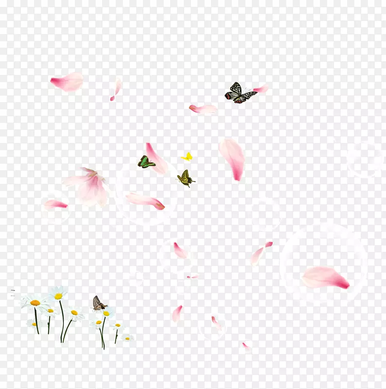 漂浮的樱花和蝴蝶