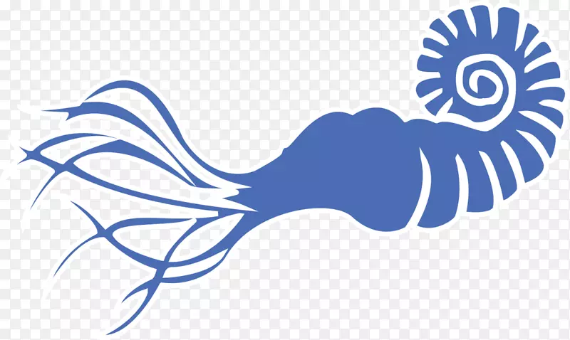 蓝色扁平大海鹦鹉螺