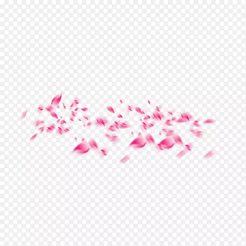散落的花瓣