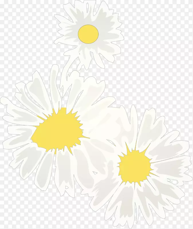 白色雏菊矢量设计图