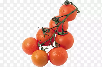 一串7个西红柿