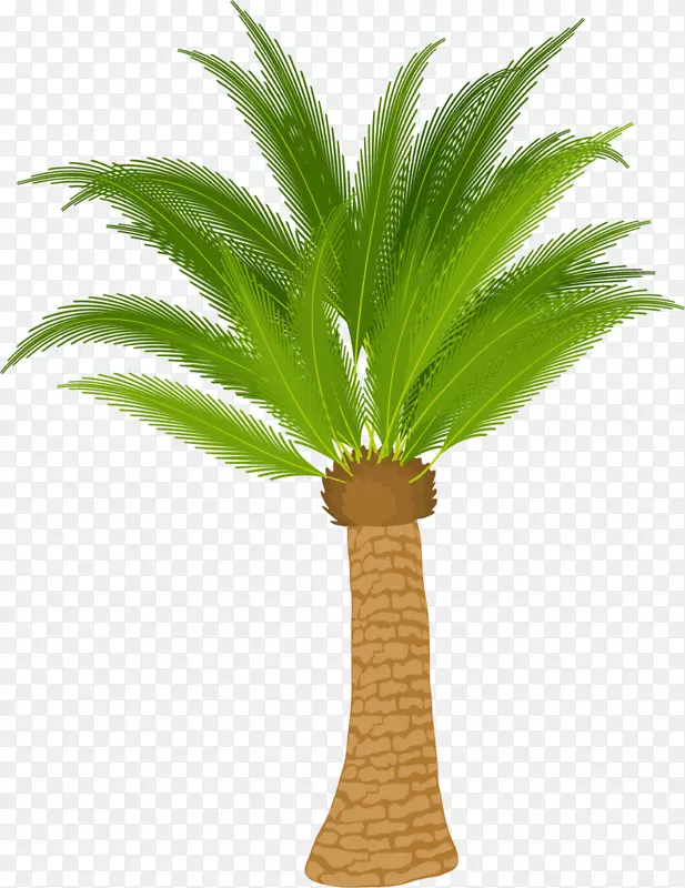 棕色棕榈树