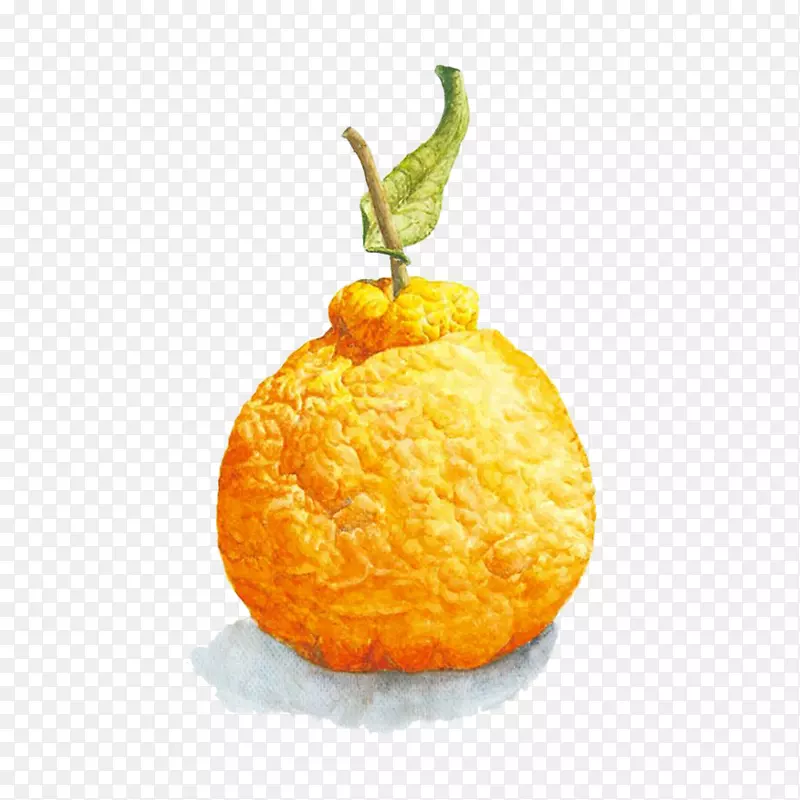 卡通手绘香橙
