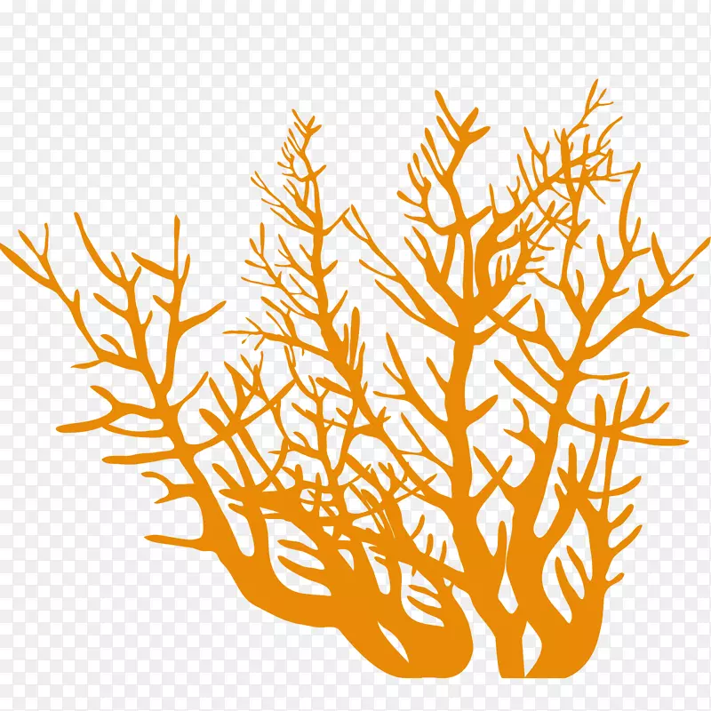 橙色珊瑚矢量插画