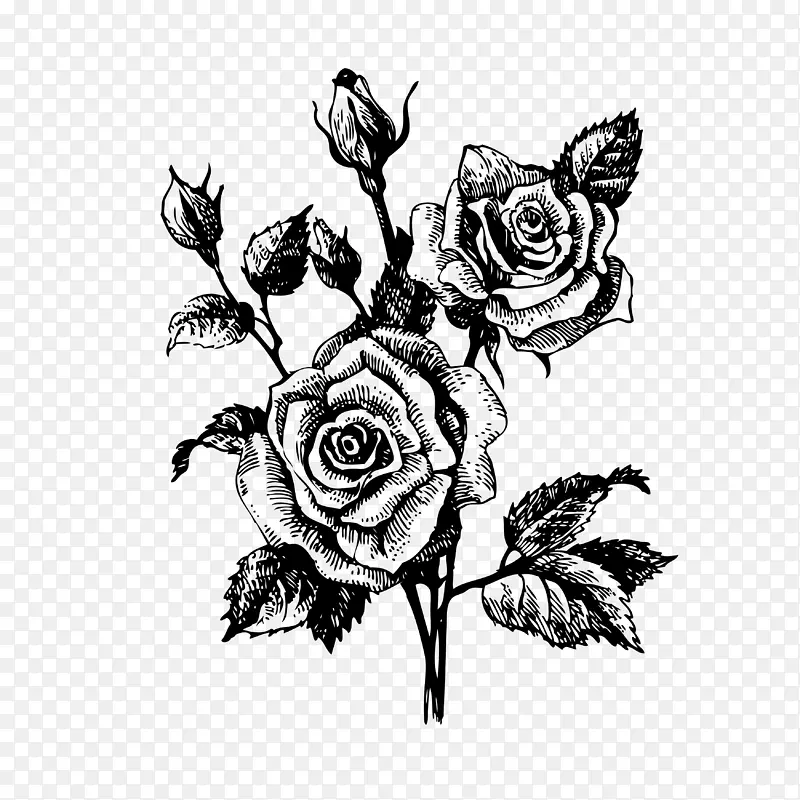 两朵玫瑰花素材图案