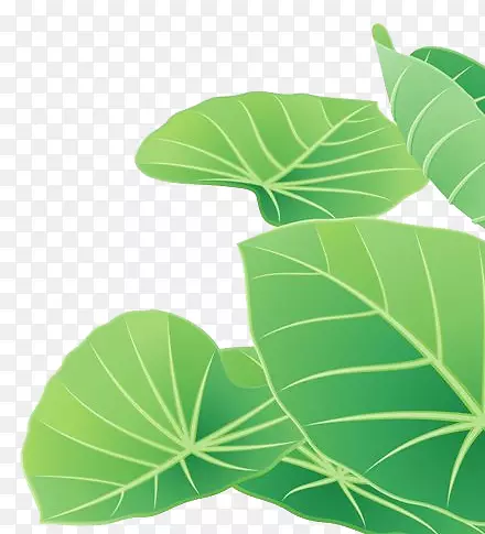 卡通荷花小清新清明节素材